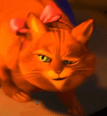 an orange cat with a pink bow on its head looks at the camera