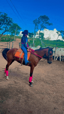 a woman wearing a cowboy hat rides a brown horse