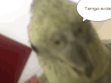 a close up of a bird with a speech bubble saying tengo sida