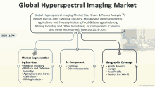 a diagram shows the global hyperspectral imaging market