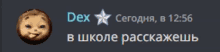 a gray background with a star and the name dex at the top