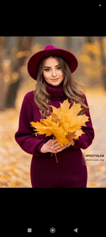 a woman in a purple dress and red hat is holding a bouquet of leaves