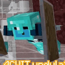 a minecraft character is holding a wooden shield behind a glass door .