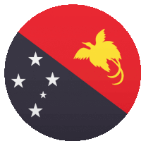 the flag of papua new guinea is shown in a round shape