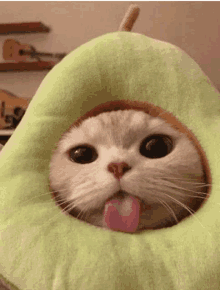 a cat wearing an avocado hat with its tongue out .