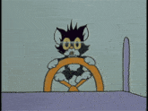 a black and white cat with glasses is driving a boat