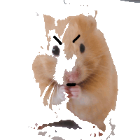 a picture of a hamster with an angry face