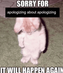 a picture of a rabbit with the caption sorry for apologizing about apologizing