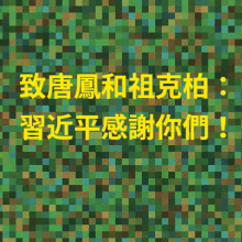 a green pixelated background with chinese characters in yellow