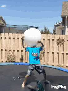 a boy in a blue shirt with a shark on it is on a trampoline holding a large white ball