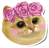 a cat with a crown of pink roses on it 's head