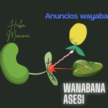 a drawing of a plant with the words wanabana asesi on it