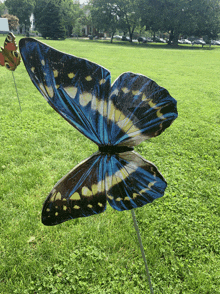 a blue and yellow butterfly on a stick in a grassy field