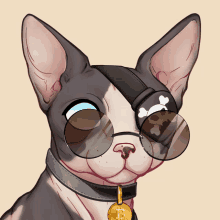 a drawing of a cat wearing sunglasses and a tag with a dollar sign