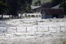 a flooded field with a barn in the background and a fence in the foreground .