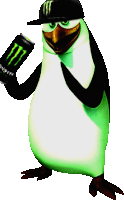 a penguin with a monster energy drink in its hand