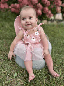 a baby girl in a pink dress is sitting on a rock