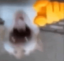 a close up of a dog 's mouth with a blurry background of a fist .