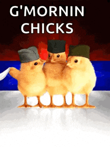 three chicks wearing military hats are standing next to each other with the words g ' mornin chicks above them