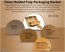 an advertisement for china molded pulp packaging market shows a carton of eggs