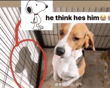 a dog standing in a cage with a picture of snoopy and the words he think hes him