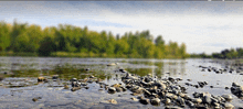 a river with a lot of rocks in it and trees in the background