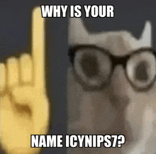 a picture of a cat wearing glasses asking why is your name icynips7