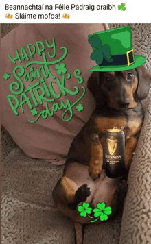 a dachshund wearing a green hat and a can of guinness