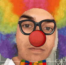 a man wearing a clown wig and glasses