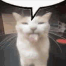 a close up of a cat with its tongue hanging out and a speech bubble above it .