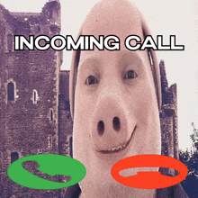 a picture of a pig with the words incoming call written above it