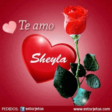 a red rose is sitting in front of a red heart with the name sheyla written on it .