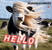 a black and white cow with long blonde hair is running in a field with the words hello written on it .