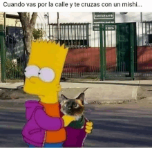 bart simpson is holding a cat on a leash in his arms .