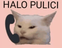 a white cat is talking on a cell phone with the words halo pulici written above it .