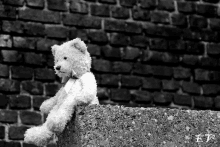 a teddy bear is sitting on a stone wall in front of a brick wall in a black and white photo .