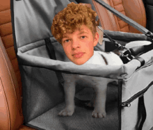 a boy with curly hair is sitting in a car seat with a dog