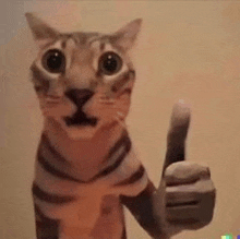 a cat is giving a thumbs up sign with its paw .