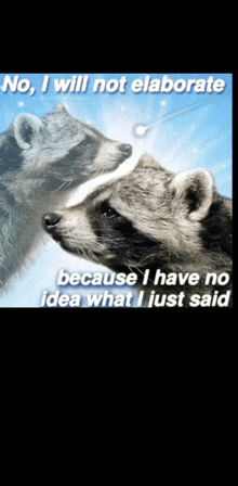 a picture of two raccoons with the caption " no i will not elaborate because i have no idea what i just said " on it