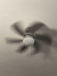 a ceiling fan with a light on the top of it