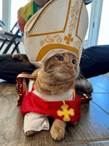 a cat is dressed as a bishop and is sitting on a table .