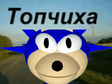 a cartoon of sonic the hedgehog with the word topchuxa behind him