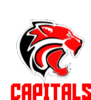 a logo for the capitals with a red and black panther