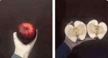 a person is holding a red apple in their hand and another person is holding two apples in their hands .