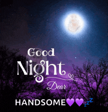 a good night dear handsome picture with a full moon