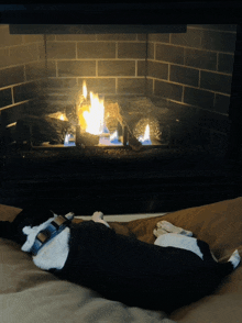 a dog laying in front of a fireplace with flames