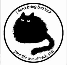 a black cat is in a circle that says i don 't bring bad luck your life was already shit .