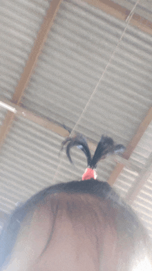 a close up of a person 's hair with a red ribbon in it