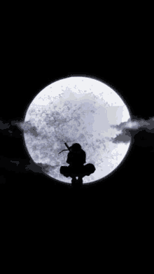 a silhouette of a ninja standing in front of a full moon in the dark .