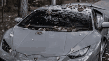 a gray lamborghini with leaves on the windshield and hood .